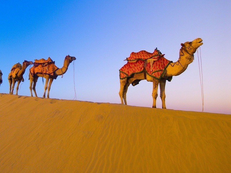 pushkar tour package